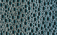 Prismatic Packed Circles 19