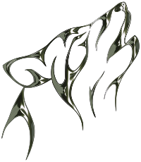 Polished Obsidian Tribal Wolf No Background