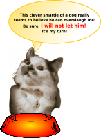 Cat totally astonished and disgusted