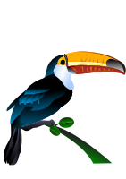 tucano