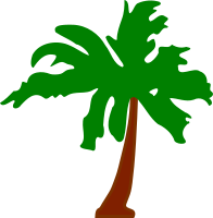 Palm tree 5