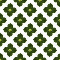 seamless pattern 009
