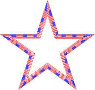 USA Flag Star