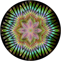 Chromatic Symmetric Mandala