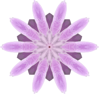 Orchid kaleidoscope 10