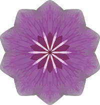 Orchid kaleidoscope 11