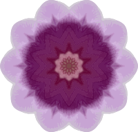 Orchid kaleidoscope 13