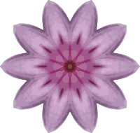 Orchid kaleidoscope 15
