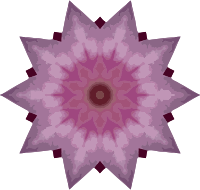Orchid kaleidoscope 16