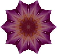 Orchid kaleidoscope 18