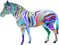 Prismatic Zebra