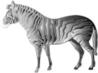 Monochrome Zebra