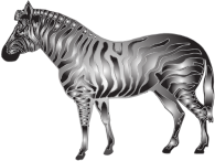Metallic Zebra 2