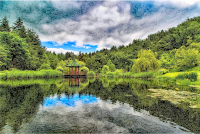 Lush Verdant Chinese Lake