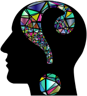 Low Poly Confusion