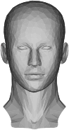 Low Poly Female Head