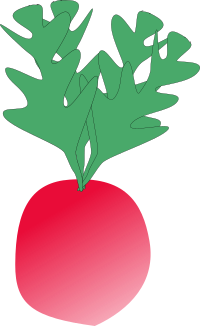 radish