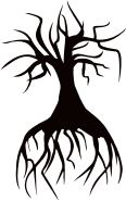 Spider Tree Minus Spider