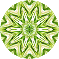 Rosemary kaleidoscope 1