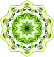 Rosemary kaleidoscope 8