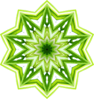 Rosemary kaleidoscope 9