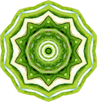 Rosemary kaleidoscope 17