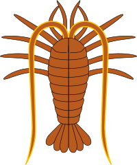 Lobster 2