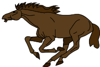 Architetto -- Cavallo 15