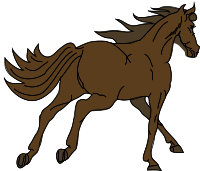 Architetto -- Cavallo 16