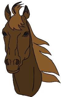 Architetto -- Cavallo 17