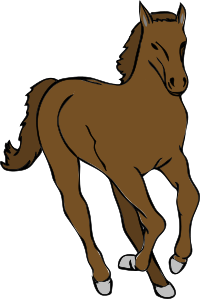 Architetto -- Cavallo 20