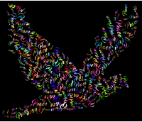Prismatic Flying Peace Dove Typography 4