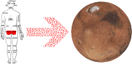 Get Your Gluteus To Mars
