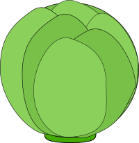 cabbage