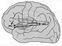 Language Control Model II