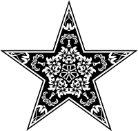 Ornamental star 13
