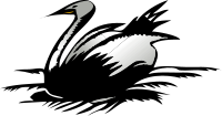 Cigno (Swan)