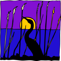 Architetto -- Cigno di notte nella palude