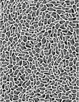 Abstract Tiled Background Extended 9 No Background