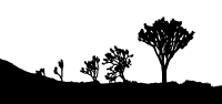 Desert Landscape Silhouette
