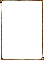 Twig frame (colour)