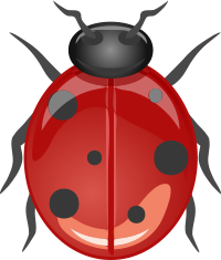 Architetto -- Coccinella 01
