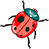 Architetto -- Coccinellona 03