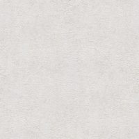 Wall Painted White