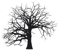 Leafless Tree Silhouette