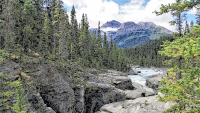 Canadian Wilds