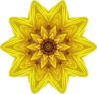 Sunflower kaleidoscope 3