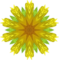 Sunflower kaleidoscope 12