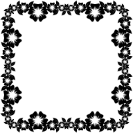 Flower Frame Extrapolated 3