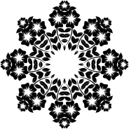 Flower Frame Extrapolated 24